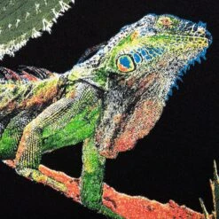 Billionaire Boys Club Safari Hoodie - Black 10 Billionaire Boys Club Safari Hoodie - Black -Feature Clothing BB Safari Hoodie Black 831 3302 11 06 26 23 Feature DV 7