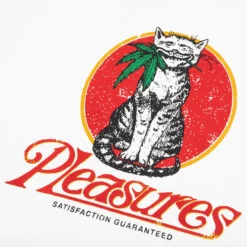 Pleasures Cat Heavyweight Ringer T-Shirt - White -Feature Clothing Cat Heavyweight Ringer Tee White P25SU018 WHITE 06 30 25 Feature JA 6