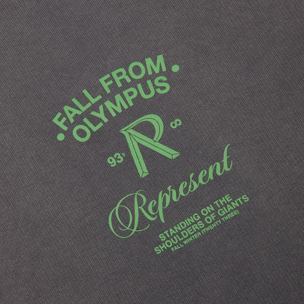 Represent Fall From Olympus Hoodie - Storm 5 Represent Fall From Olympus Hoodie - Storm - Image 3