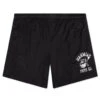 Mesh PE Shorts - Black -Feature Clothing Mesh PE Shorts Black W79 R14F16 001 03 04 25 Feature VR 6