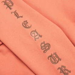 Pleasures OE Zip Up Hoodie - Rust 10 Pleasures OE Zip Up Hoodie - Rust -Feature Clothing OE Zip Up Hoodie Rust P24F046 RUST 11 22 24 Feature KN 6