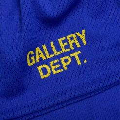 Venice Court Shorts - Royal -Feature Clothing Venice Court Shorts Royal VCS 5245 ROYL 04 15 25 Feature VR 8.CR2 04 24 25 Feature VR 5