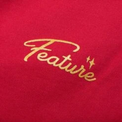 Feature X Wynn Shine Sweatpants - Scarlet 14 Feature X Wynn Shine Sweatpants - Scarlet -Feature Clothing Wynn Shine Sweatpants Scarlet F120723X04 01 07 24 Feature KN 9