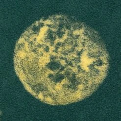 Novelty Spray French Terry Polo - Green -Feature Clothing brain dead novelty spray french terry polo green 5